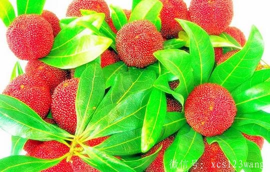 白色衣服染上杨梅汁怎么办 千万不要用热水洗