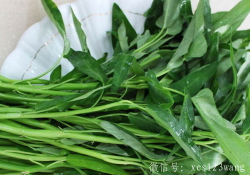 空心菜和香菇能一起吃吗 和木耳可以一起炒吗