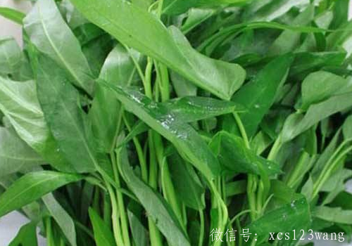 空心菜泡水了还能吃吗 可以榨汁喝吗