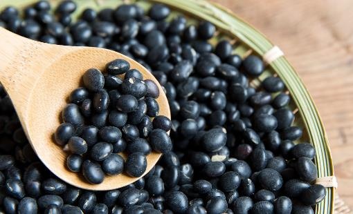 补药一堆不如黑豆一把 黑豆的7大功效及食用方法