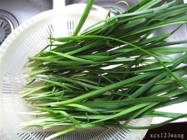 韭菜子泡水喝的功效 对身体大有好处！