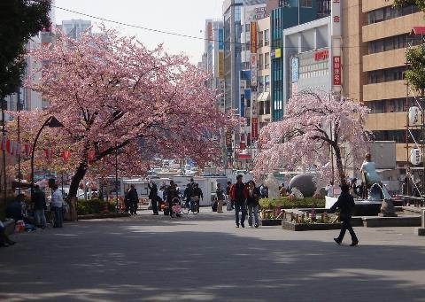 去日本应留意什么商务文化礼仪及忌讳