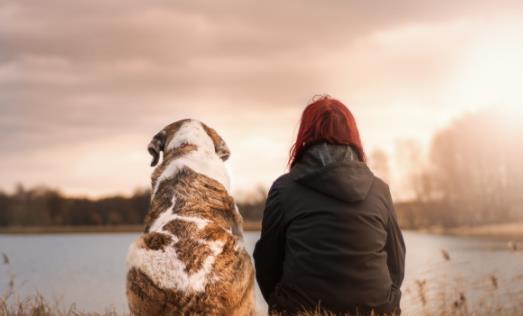 静坐冥想有益健康 只练习几分钟也会有好处