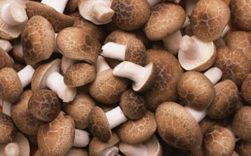 能吃出小蛮腰的食物 常见又便宜的6种纤维丰富食物