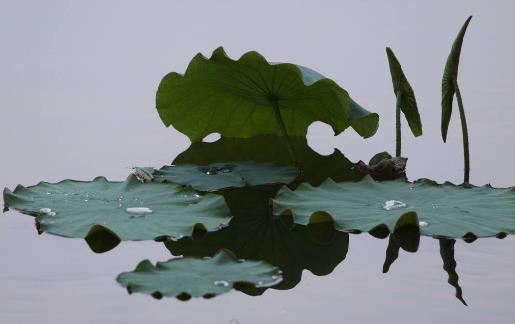 六款既美味又方便的蔬菜汤 多喝这些汤减肥还美颜