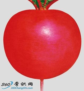 东北雌性红萝卜治疗痛风