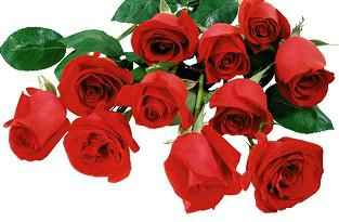 各种花茶的调理偏方大全