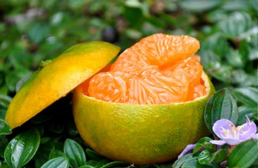 牙龈经常出血 养成良好口腔卫生预防牙龈出血