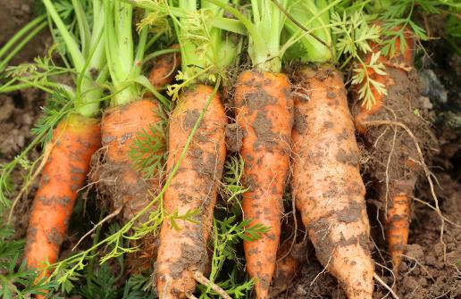 不论男女身体这处越深活得越久 养生两搓越搓越健康