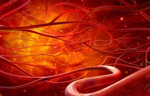 最佳血管养护时间表 养好血管健康更长寿