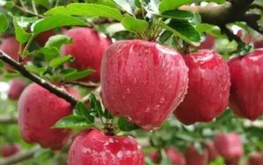 最佳血管养护时间表 养好血管健康更长寿