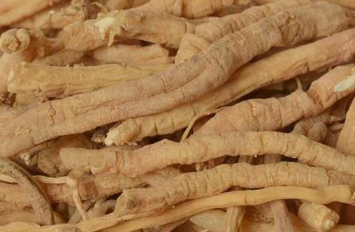 春困秋乏夏打盹的科学依据 食补安神饮帮你克服困倦