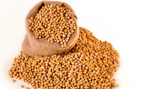 教你从各方面管理好自己的健康 送你日常健康小秘诀