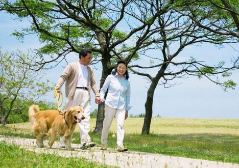 饭后散步老少皆宜适合走走停停 属于你的饭后养生