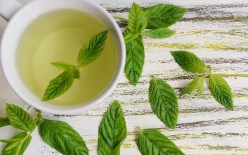 保护嗓子的小妙招 蜂蜜泡水喝可以滋阴润喉