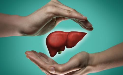 入冬前先给脏器洗个澡 驱除体内毒素为冬季储备能量