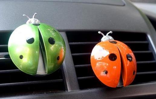 3种办法相结合 教你去除车内异味的小窍门