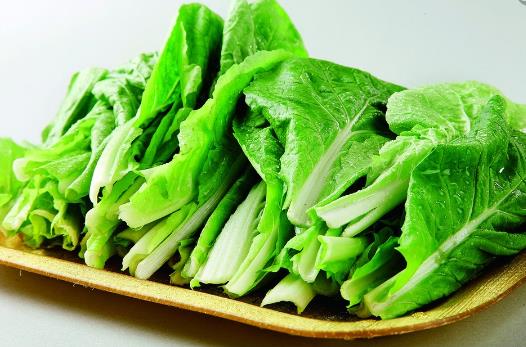 春季养生饮食 这7种食物最适合春季