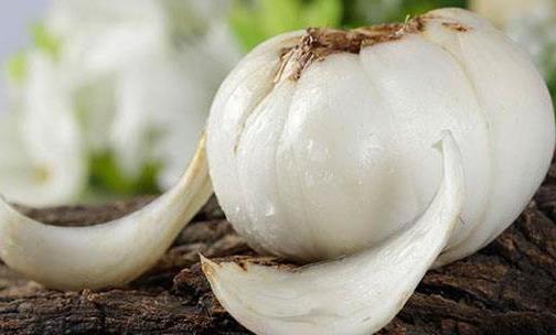 百合可以安神助眠 百合的功效及食用方法