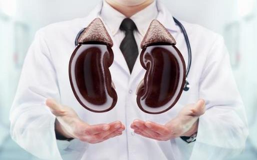 生活中肾好的人都有的特征 日常养肾护肾秘诀盘点