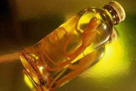 秋冬喝点药酒最滋补 注意5大误区