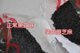 如何辨别真假黑芝麻