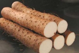 山药减肥又养胃 山药变着吃不乏味