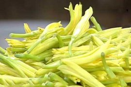 哪些食物越新鲜越不能吃？