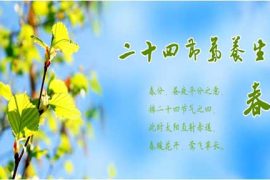 春分应论体质而养生