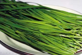 春季吃韭菜虽好 但禁忌不可不知