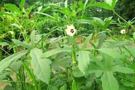 清明游玩两不误的五大防范措施