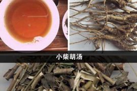 小柴胡汤为何又称“三禁汤”