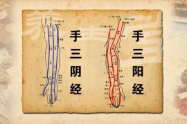 从头拍到尾 全年不用看医生
