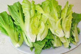 白菜有多种 哪种白菜营养更高？