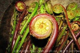 大棚种植的野菜营养如何？