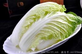 盘点大白菜和小白菜的不同功效