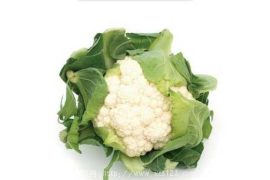 菜花是天赐的良药 盘点菜花的功效