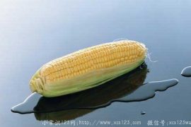玉米的挑选方法与搭配技巧