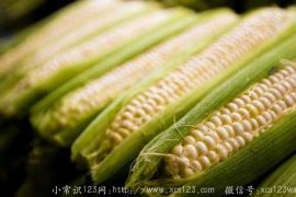 玉米含有甜蜜素 多食玉米有害吗？