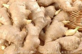 吃生姜不能忽略的6个问题