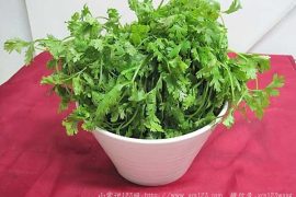 香菜容易加重引发气虚感冒