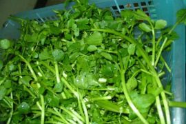 这些食物有“强国”的美称你知道吗