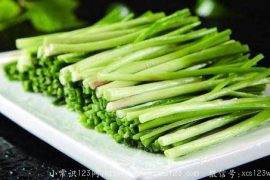 韭菜的药用功效 吃韭菜的禁忌