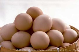 鸡蛋如何吃有营养呢