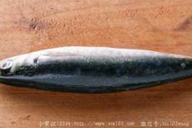 怎么才能挑选到好鱼？