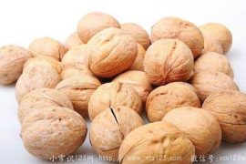 妈妈孕育期多吃这些食物
