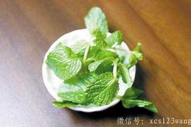 盘点能够去肝火的中药养生配方
