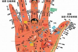 经常按摩手心有什么好处