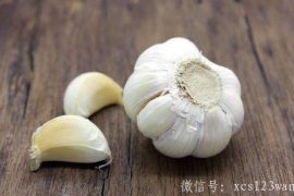 哪些食物不能和大蒜一起吃 狗肉与大蒜一起吃会助火伤阴