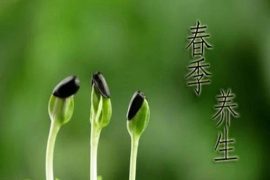 一年之计在于春，常用的春季养生常识